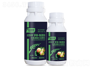 ����������ġ��㵰��-���ַ�-Ӣ���ֲ���