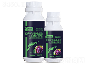 ����������ġ��㵰��-���ַ�-Ӣ���ֲ���