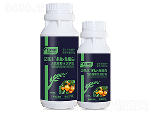 �̳�������ġ��㵰��-���ַ�-Ӣ���ֲ���