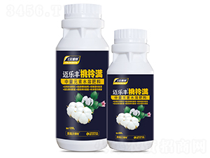 ������-���ַ�-Ӣ���ֲ���