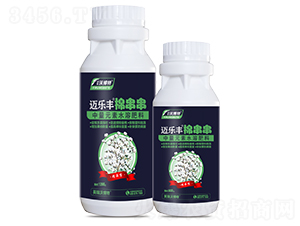 �޴���-���ַ�-Ӣ���ֲ���