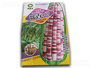 Ŵ��369-Ŵ��������-ԥ�β�
