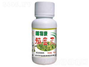 ������-ֲ�￵-����ֲ��