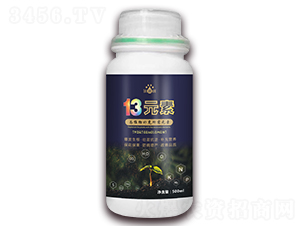 13Ԫ��-Ũ�p�p-�������