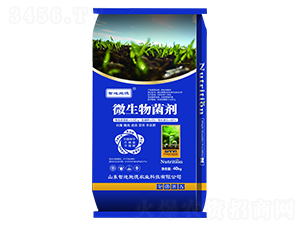40kg΢�������-�ǵ�ʩ��-�ں�