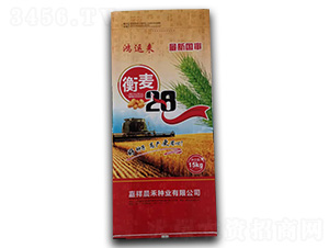 ����28-С������-������ҵ
