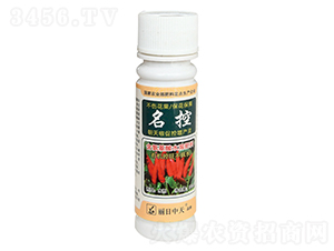 ���콷�ٿ�������-����-�����ҵ