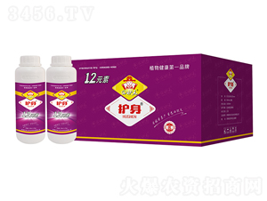 12Ԫ�أ��䣩-����-��״Ԫ