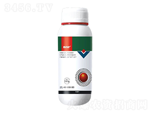 40%�پ���-�ΰٻ�