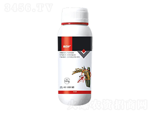 30%���ຣ�500g��-�ΰٻ�