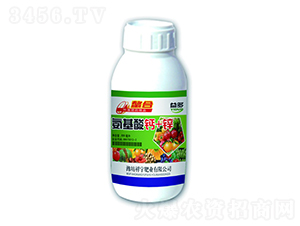 500ml�������+п-�����ҵ