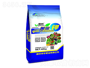 40kg�����ƽ��-�����ҵ
