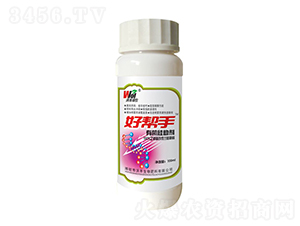 �л�������-�ַ���ũ-�ַ�����