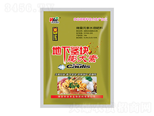 �ַ���ũ1000g���¾��������-�ַ�����