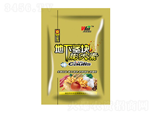 �ַ���ũ���¾��������-�ַ�����