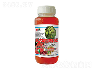 500ml�����ɫ������-�ַ���ũ-�ַ�����