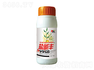 �μ��-�ַ���ũ-�ַ�����