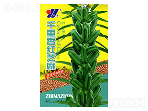 ǧ�����֥��-֥������-��Դũҵ