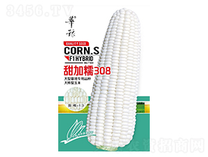 ���Ŵ308��������-��Դũҵ