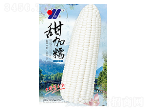 ���Ŵ-��������-��Դũҵ