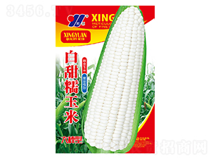 ����Ŵ-��������-��Դũҵ