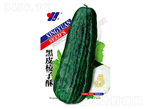 ��Ƥ������-�������-��Դũҵ