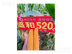 ʢ��520��������Ч��ͼ