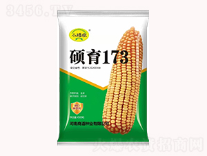 ˶��173��4500����-��������-�̵���ҵ