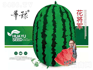 ������-��������-��Դũҵ