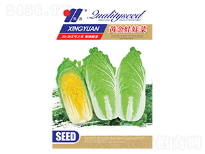 �ƽ����޲�-�ײ�����-��Դũҵ