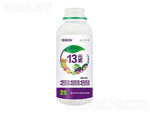 13Ԫ��-��˹����