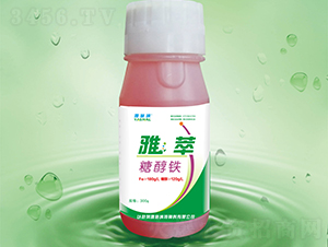 �Ǵ���-����-��ʩ��