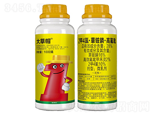 1000g2��4�ȡ����좡��߷���-���ñ