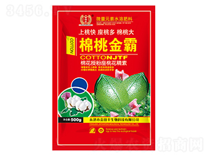 �޻��ڷ����һ�����-���ҽ��-�����