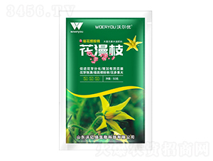 50g�߻��ڷ۾�-����֦-�ֶ���