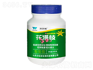 400g�߻��ڷ۾�-����֦-�ֶ���