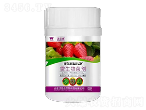 200g΢�������-�ֶ�����Ƭ��-���ڼ�