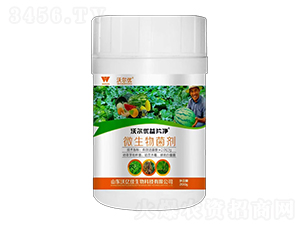 �ֶ�����Ƭ����200g��-���ڼ�