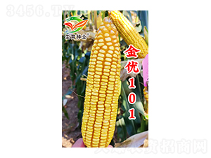 ����101-��������-�h����ҵ