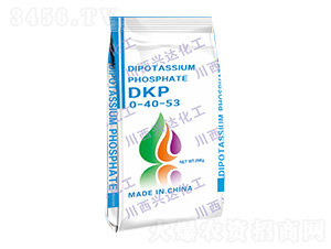 ��������أ�DKP��0-40-53-�����˴ﻯ��