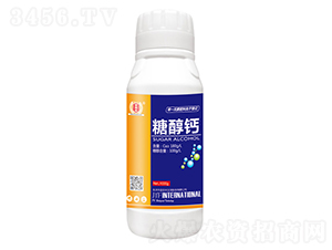1000g�Ǵ���-�����