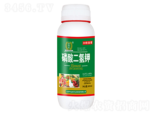 500ml��������-�����
