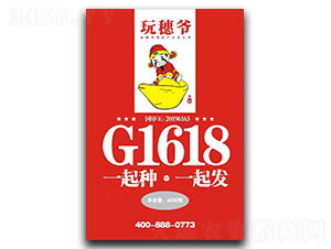 ����G1618������ү��-��������-������ҵ
