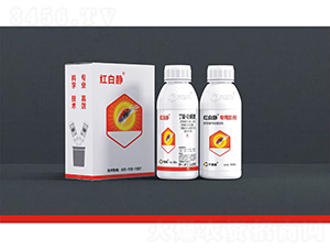40%���ѡ�������������+��׾�ר������-��׾�-��Ķ��