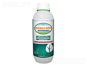 �л������㵰��-����-ԭ����ҵ