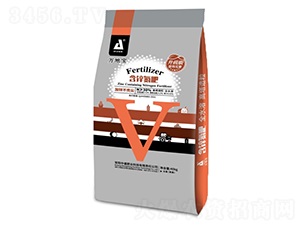 30%��п����-��ر�-��ʢ��ҵ