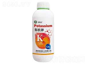 �л���-��Ȫ����