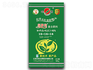 �̾��ܸ��Ϸ���16-16-16-�ж�