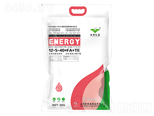 ����ֲ��ˮ�ܷ���12-5-40+FA+TE-����֮��-�º���