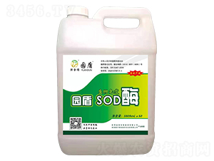 ��������SODø-԰��-�������
